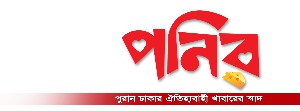 ponir logo
